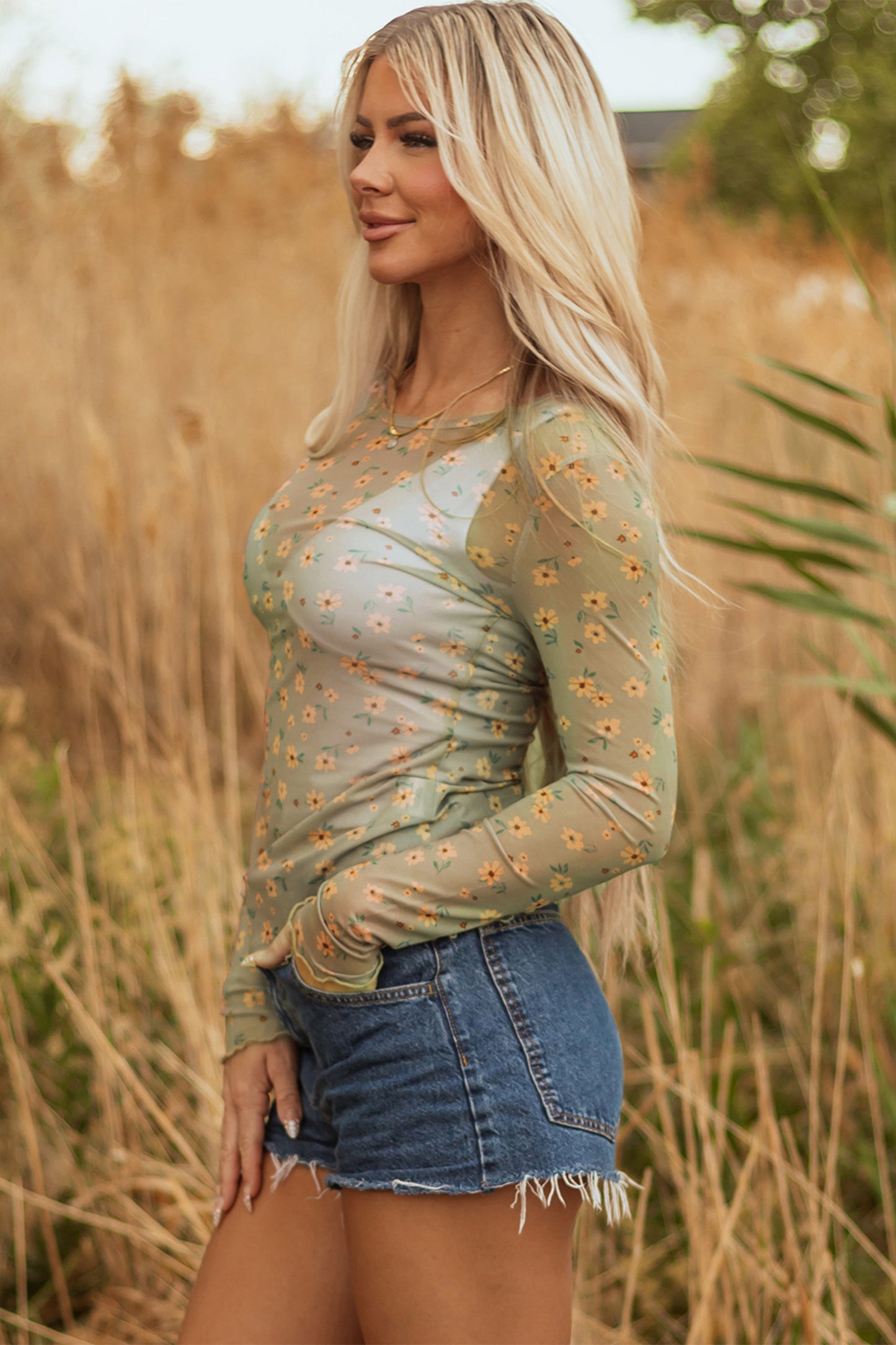 Pink Vintage Floral Print Southern Style Mesh Long Sleeve Top