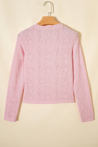 Light Pink Semi Sheer Lace Long Sleeve Cropped Top